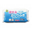 70枚入×24袋 大一紙工 大人用流せるおしりふき 70枚入/ケース/- ケース 491201_1008_-(代引不可)【送料無料】