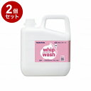 【単品2個セット】【法人限定】サラヤ ホイップウォッシュ 無香 5kg/ケース/5kg ケース 5kg 23453 975129 1008 11455(代引不可)【送料無料】(4)