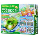 学研ステイフル はじめてのプログラミングカー カードでピピッとはじめてのプログラミングカー 学研ステイフル 玩具 おもちゃ クリスマスプレゼント 【送料無料】