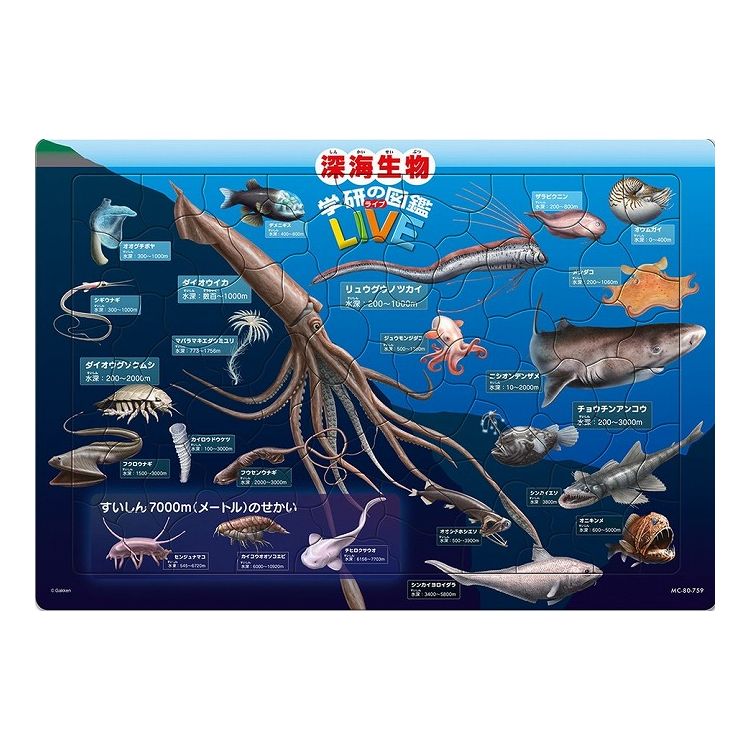 80ピース チャイルドパズル 深海生物図鑑（学研の図鑑LIVE） (MC-80-759) テンヨー 梱80cm t106