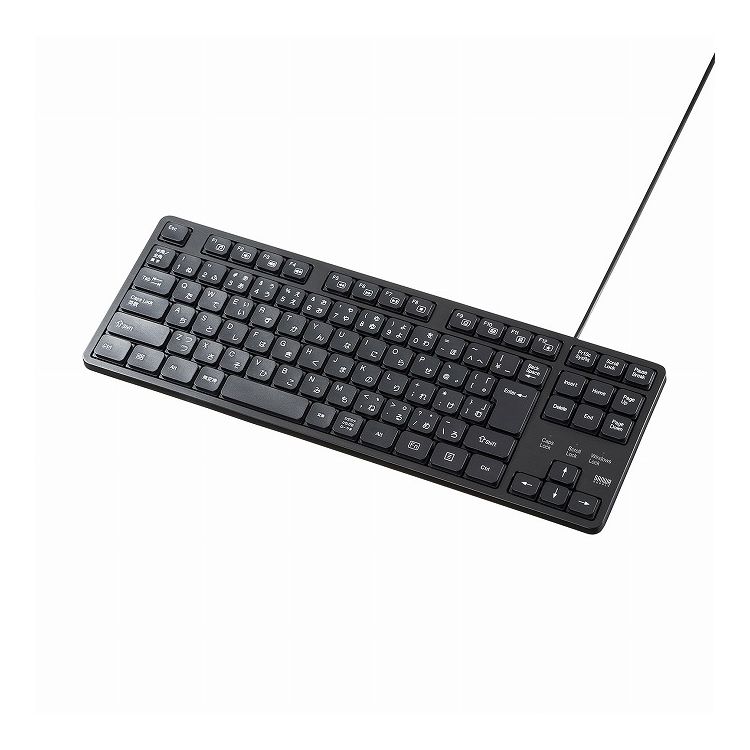 サンワサプライ 静音キーボード SKB-SL38BK(代引不可)【送料無料】