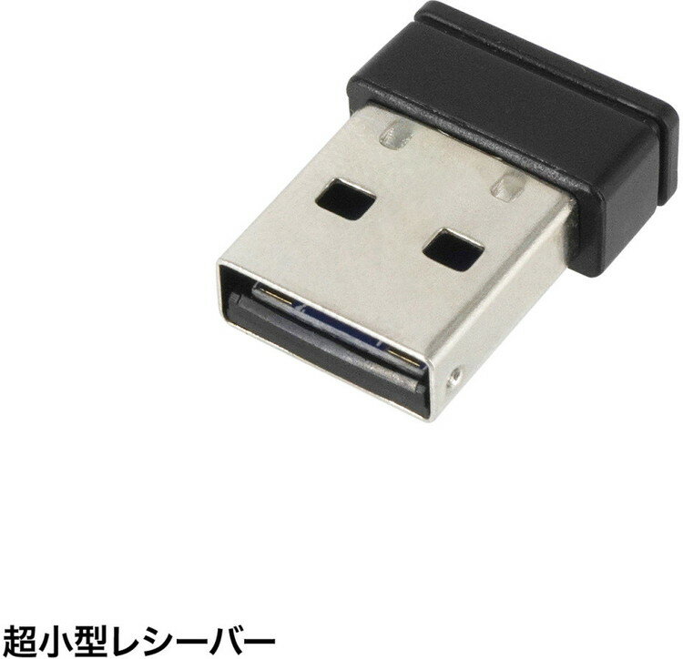サンワサプライ ワイヤレス静音キーボード SKB-WL38BK(代引不可)【送料無料】