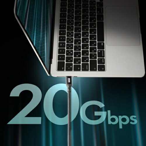 サンワサプライ USB20Gbps Type-Cケーブル(PD60W・3m) KU-20GCCP6030(代引不可)【送料無料】