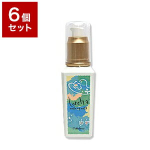 【6個セット】 ビューティーエクスペリエンス モルトベーネ ロレッタ メイクアップミルクナチュラル 100ml【送料無料】