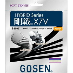 GOSEN(ゴーセン) SS507 ゴーセンX7V ロイヤルブルー SS507RB