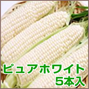 とうもろこし 北海道 生で食べられる ピュアホワイト 5本 トウモロコシ スイートコーン(代引き不可)【送料無料】のサムネイル