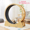 キャットホイール 猫 直径100cm 耐荷重7.5kg シンプル ナチュラル 北欧 キャットウォーク ルームランナー 猫用ルームランナー ホイールランナー 回し...