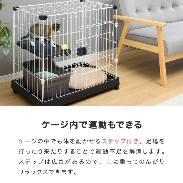 ǭ ������ 1�� ������� ����� ����ѥ��� ���㥹������ æ���ɻ� ���������ñ �ڥåȥ����� ����åȥ����� ����å� ������ ����åȥϥ��� �ڥåȥϥ��� ���� ���� �ݸ� �ݸ�ǭ �ϥ���������̵����