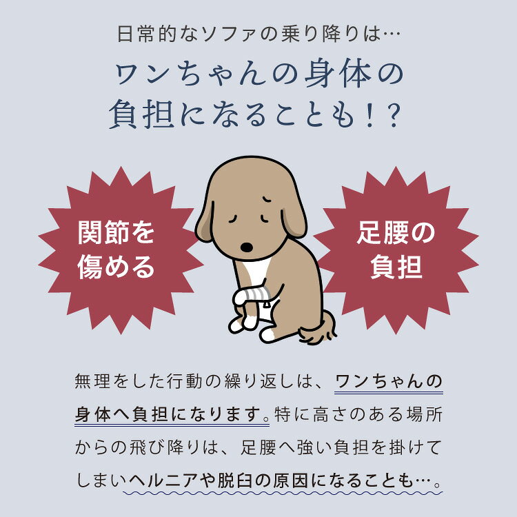 ドッグステップ スロープ 幅40cm ドッグスロープ ウレタン 撥水 クッション 踏み台 ステップ ペットステップ 室内犬 シニア犬 老犬 介護用品 ケガ防止 小型犬 犬用品 補助 トイプードル 傾斜【送料無料】 rcmdbe-10940584 リコメン堂ペット館 サンプル画像3