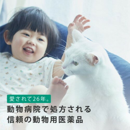 【動物用医薬品】 フロントライン 猫用 3本入 ノミ 蚤 ダニ ハジラミ 駆除剤 駆除液 動物用 ペット用 医薬品 フロントラインプラスキャット(代引不可)【メール便配送】【送料無料】 2