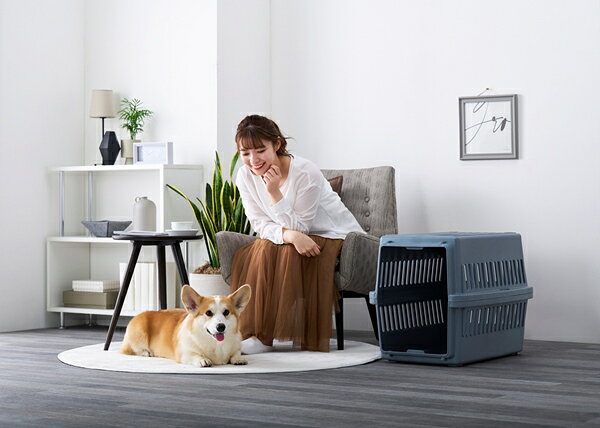 リコメン堂ペット館の犬 キャリー コンテナ ハード エアトラベルキャリー ATC-670 ペットキャリー 持ち運び 犬用 いぬ用 防災 避難 お出かけ 旅行 通院 介護 アイリスオーヤマ【送料無料】｜アングル2