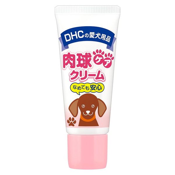DHC 奱꡼20g