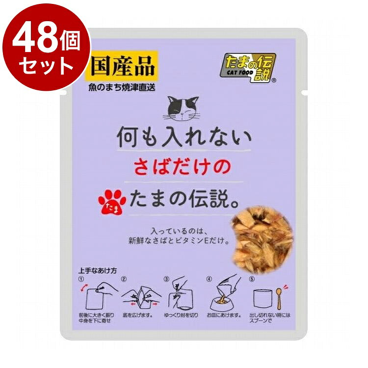 【48個セット】 STIサンヨー 何も入れないさばだけのたまの伝説 35g【送料無料】