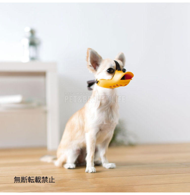 リコメン堂ペット館のOPPO オッポ quack closed SS クァック クローズド 噛付き防止 噛みつき防止 拾い食い防止 シリコン 口輪 しつけ用 犬用 いぬ用【送料無料】｜アングル3