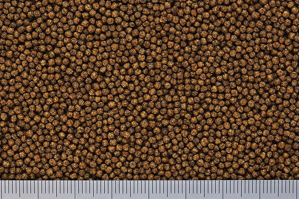 ���硼��� ��奦���󥴡���� 200g