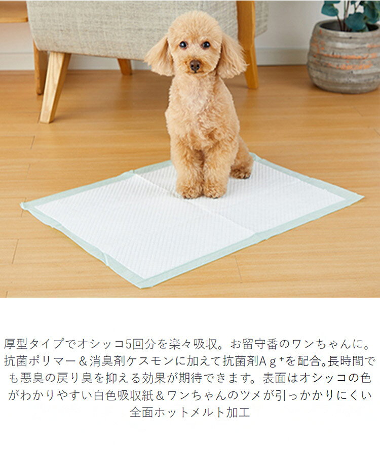【8個セット】 ボンビアルコン しつけるシーツ...の紹介画像2
