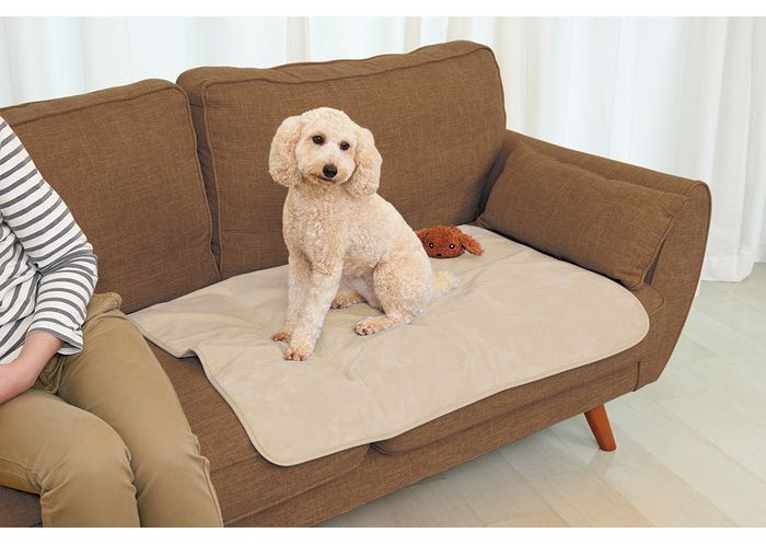 �ޥ륫�� GONTA CLUB �������ɿ奷���� �磻�� �١�����