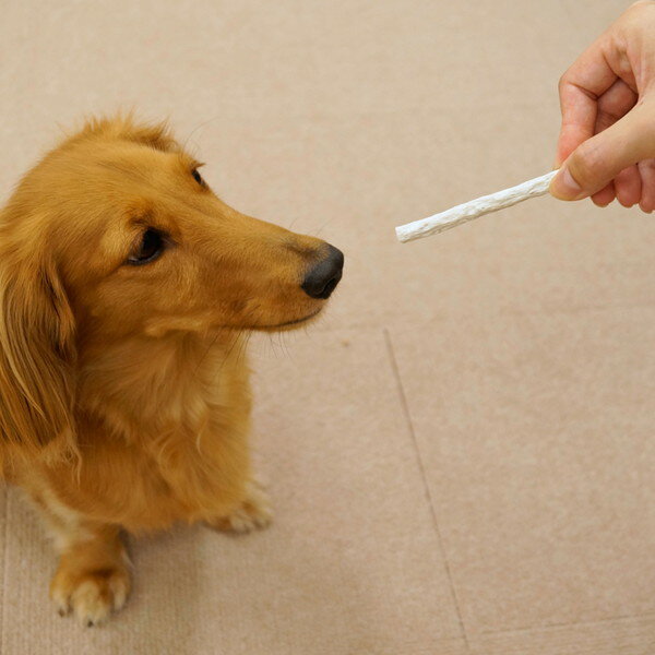 【20個セット】 ドギーマン ドギースナックバリュー ミルク味のデンタルガム 12本 x20【送料無料】