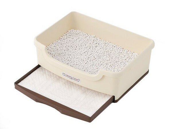 �ܥ�ӥ��륳�� ���������꡼������ �˸������� 12���� ǭ������ ǭ�ѥ����� �����ƥ�ȥ����ѥ����� ���������꡼�ȥ����� �ڥåȥ�����