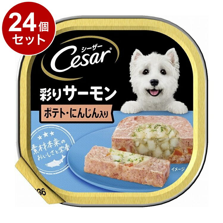 【24個セット】 シーザー 彩りサーモン ポテト・にんじん入り 100g【送料無料】