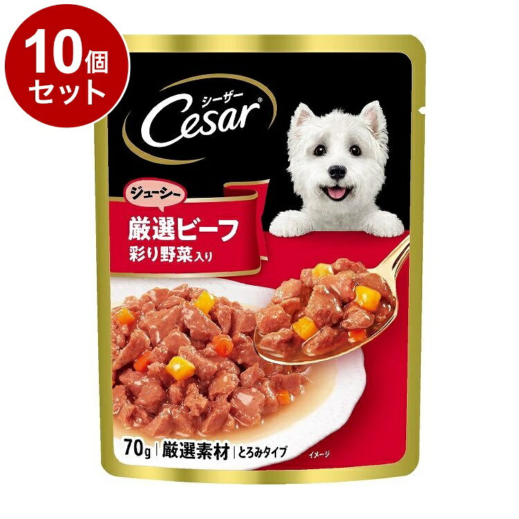 【10個セット】 シーザー ジューシー厳選ビーフ 彩り野菜入り 70g