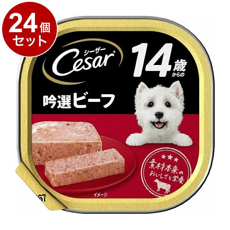 Rakuten - 【24個セット】 シーザー 14歳からの 吟選ビーフ 100g【送料無料】