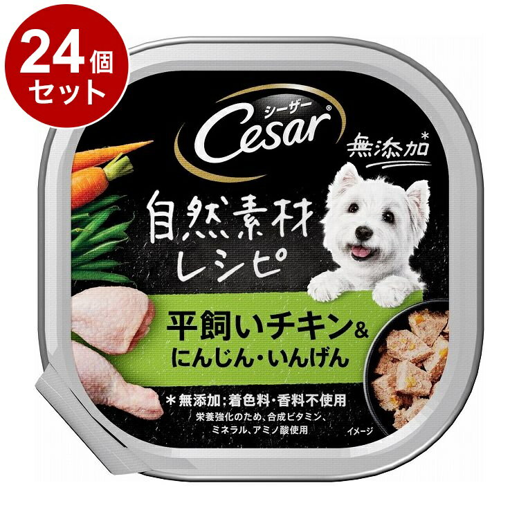 【24個セット】 シーザー 自然素材レシピ 平飼いチキン&にんじん・いんげん 85g【送料無料】
