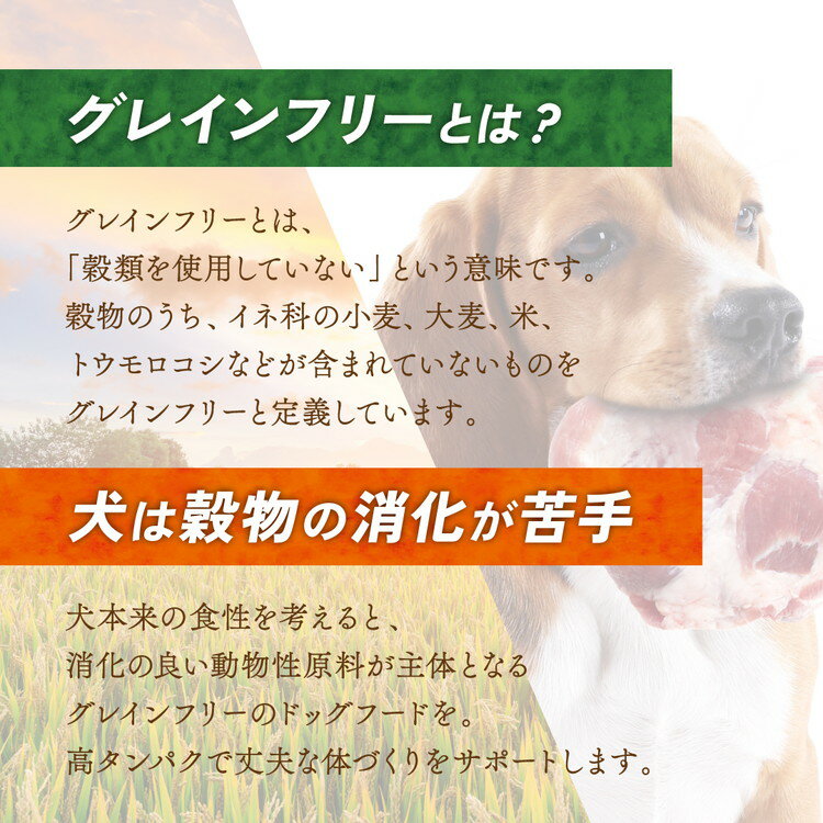 【36個セット】 マルカン サンライズ ナチュラハ グレインフリー チキン&チーズ入 100g【送料無料】