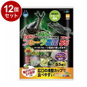 【12個セット】 マルカン フルーツ農園 フラット 55 55個入【送料無料】