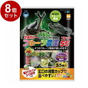 【8個セット】 マルカン フルーツ農園 フラット 55 55個入【送料無料】