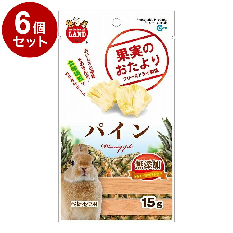 【6個セット】 マルカン 果実のおたより パイン 15g