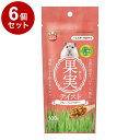 【6個セット】 マルカン ハムスタースナック 果実テイスト フルーツパウダー 100g【送料無料】