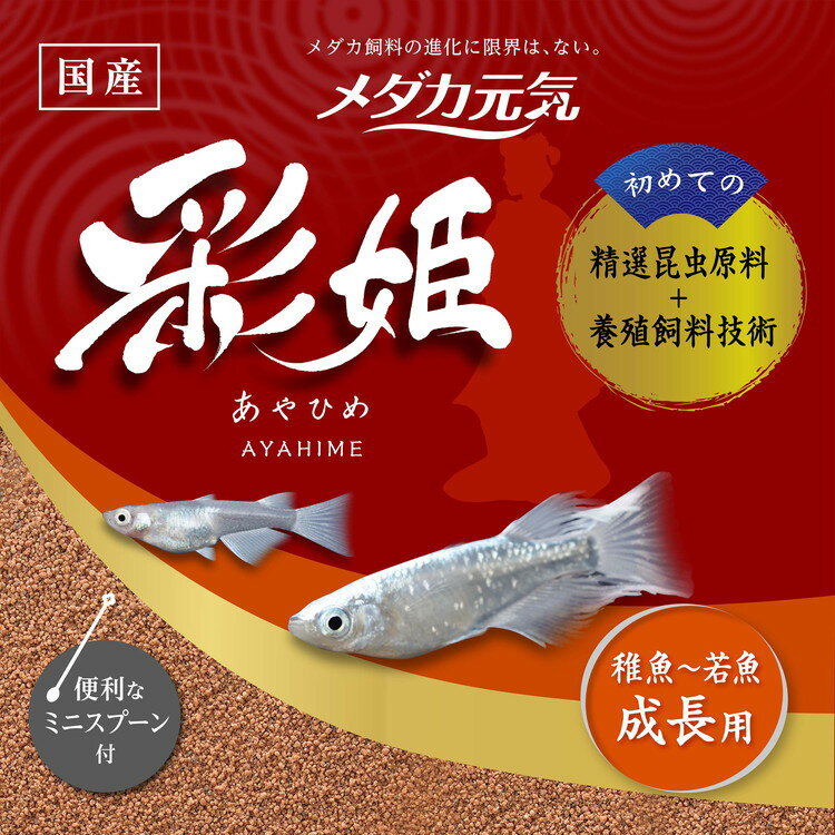 ��4�ĥ��åȡ� GEX �����å��� ��������� ��ɱ ��Ĺ�� 40g