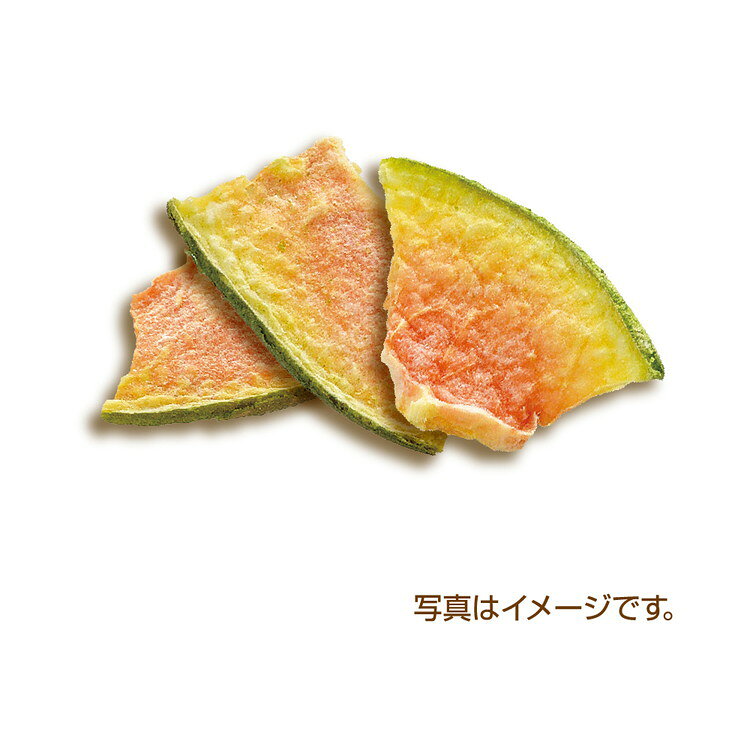 リコメン堂ペット館の【6個セット】 GEX ジェックス 完熟 とこなつパパイヤ 5g【送料無料】｜アングル2