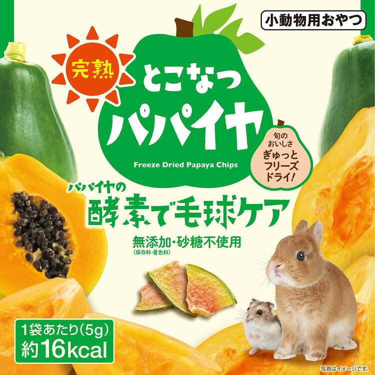 リコメン堂ペット館の【6個セット】 GEX ジェックス 完熟 とこなつパパイヤ 5g【送料無料】｜アングル3