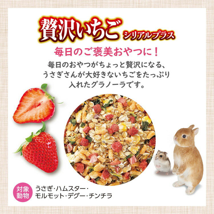 ��4�ĥ��åȡ� GEX �����å��� �������� ���������� ���ꥢ��ץ饹 150g������̵����