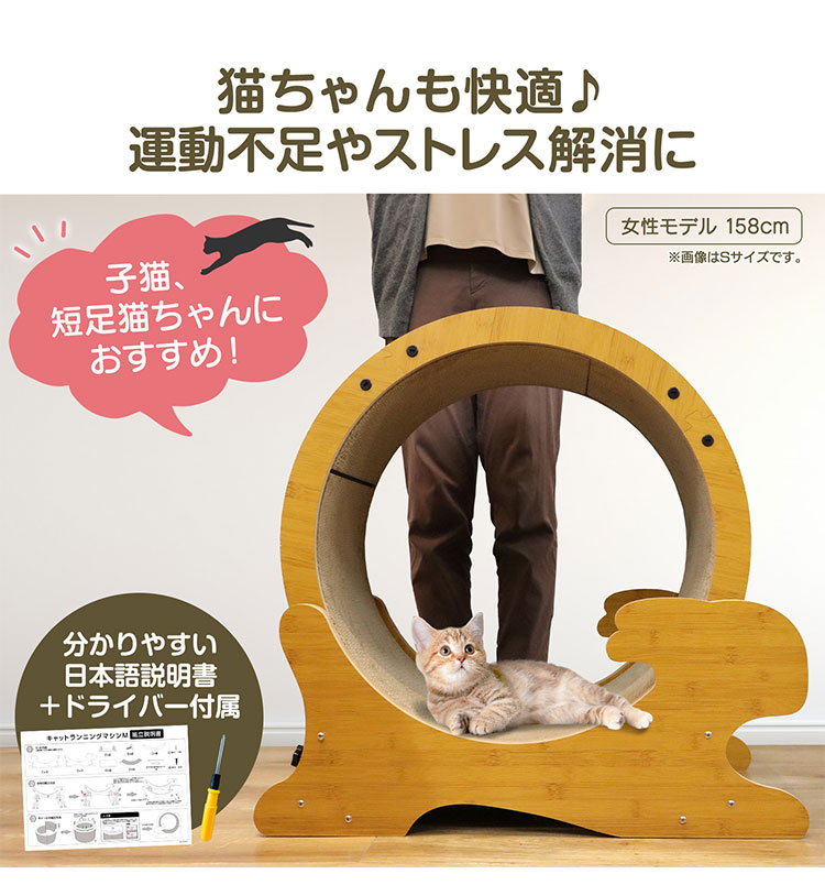 サンプル画像3