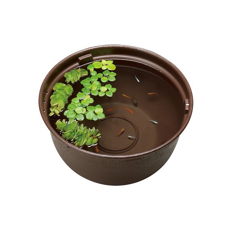 GEX ジェックス メダカ元気 メダカのための飼育鉢 こげ茶370のサムネイル