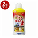 【2個セット】 GEX ジェックス 金魚元気コケを抑えるリキッド 300ml