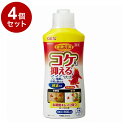 【4個セット】 GEX ジェックス 金魚元気コケを抑えるリキッド 300ml【送料無料】