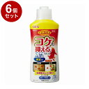 【6個セット】 GEX ジェックス 金魚元気コケを抑えるリキッド 300ml【送料無料】