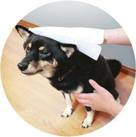 【8個セット】 ライオンペット ペットキレイ ミトンでらくらくシャンプータオル 犬...