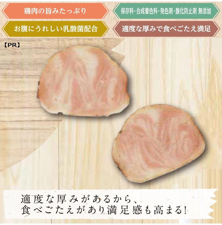 【12個セット】 ドギーマン お肉屋さんのジューシーチキン サラミ 100g【送料無料】