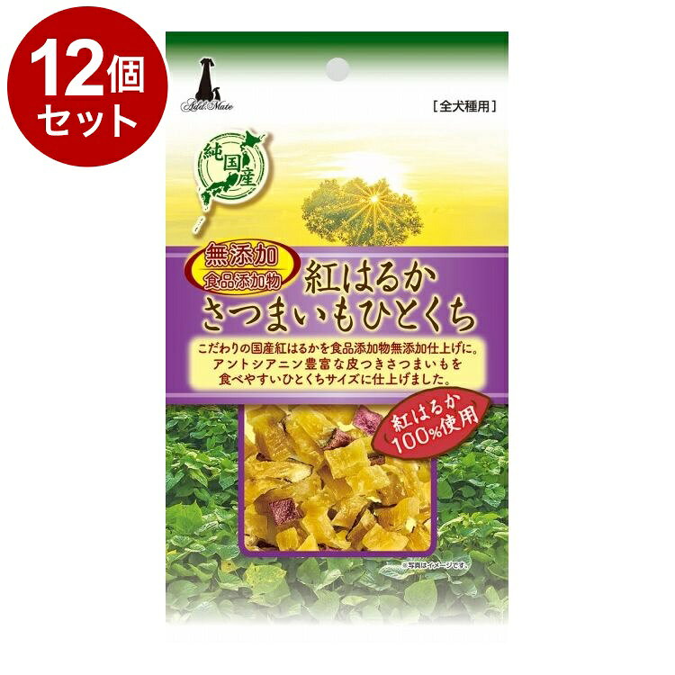 ��12�ĥ��åȡ� ���ɥᥤ�� �ȤϤ뤫 ���Ĥޤ��� �ҤȤ��� 35g������̵����