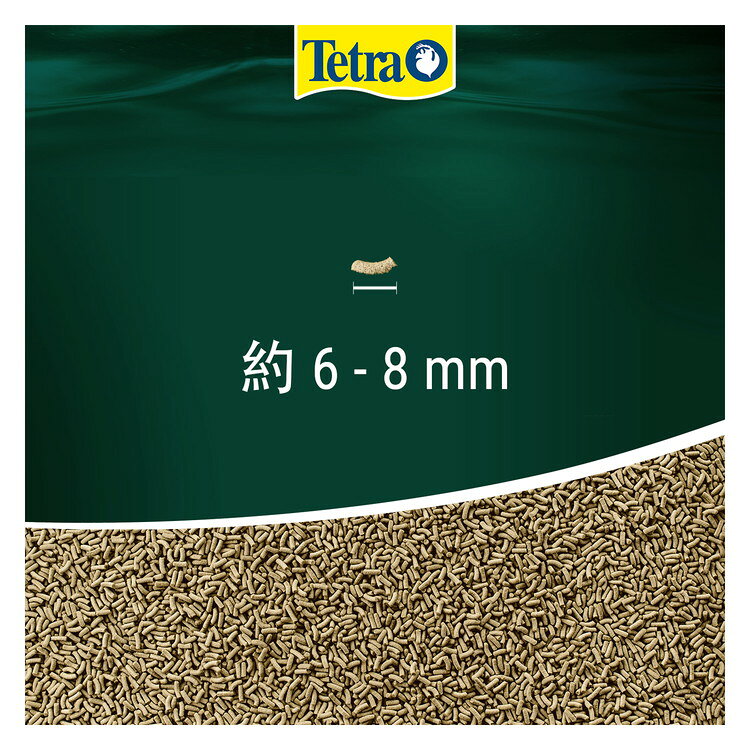 【12個セット】 テトラ レプトミン 中粒 70g【送料無料】