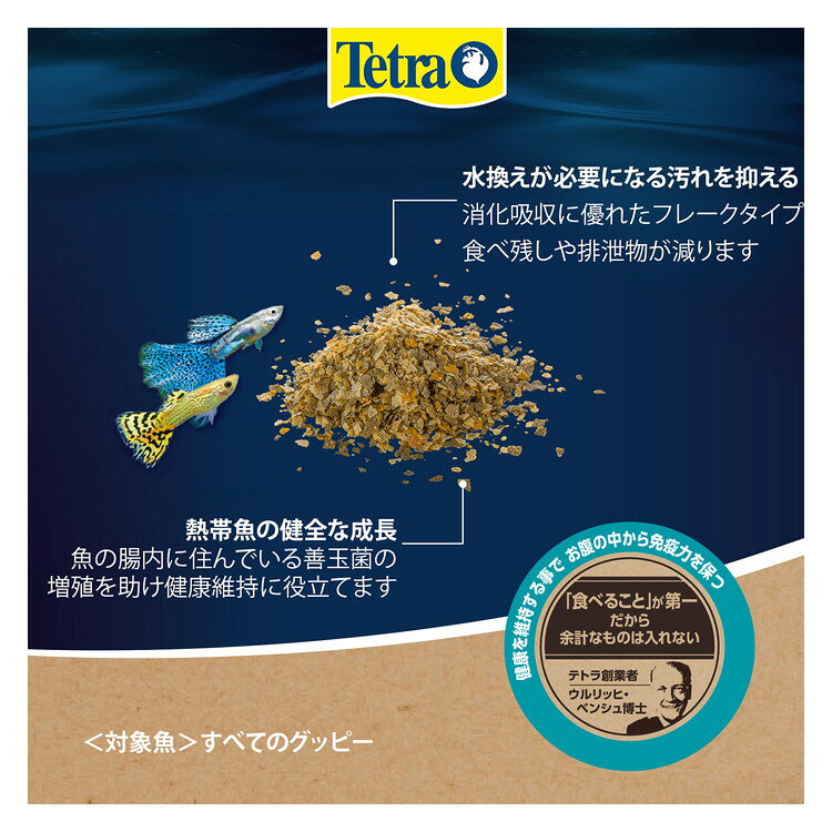 【24個セット】 テトラ ベーシック グッピー 60g【送料無料】