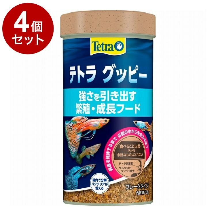 【4個セット】 テトラ グッピー 70g【送料無料】