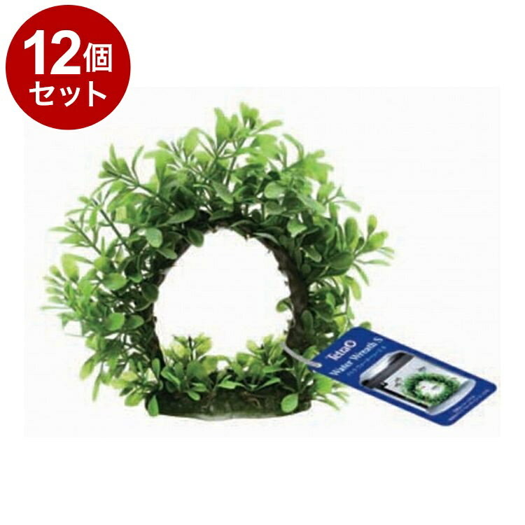 ��12�ĥ��åȡ� �ƥȥ� �����������꡼�� S������̵����