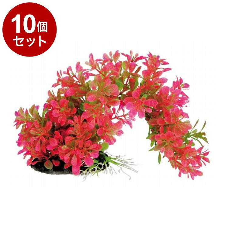 【10個セット】 テトラ フレキシブルプラント FP-3【送料無料】