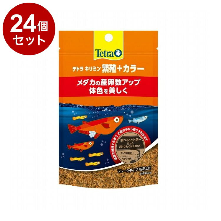 ��24�ĥ��åȡ� �ƥȥ� ����ߥ� �˿�+���顼 20g������̵����